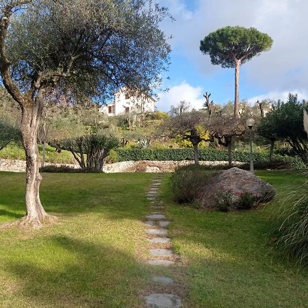 Apartmán Casa Degli Ulivi Lerici Exteriér fotografie